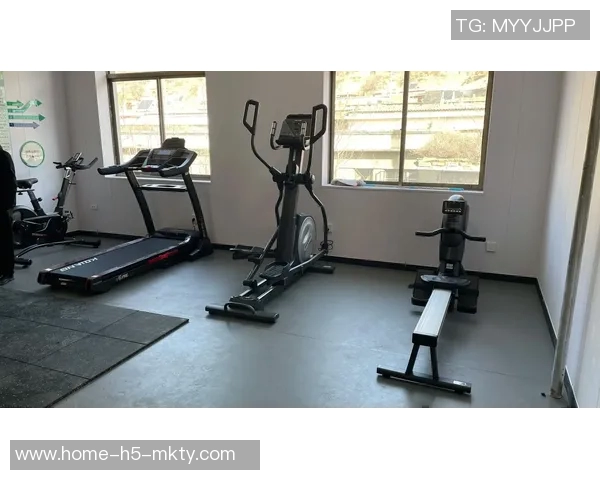 探索健身器材的多样选择助你打造完美身材的终极指南